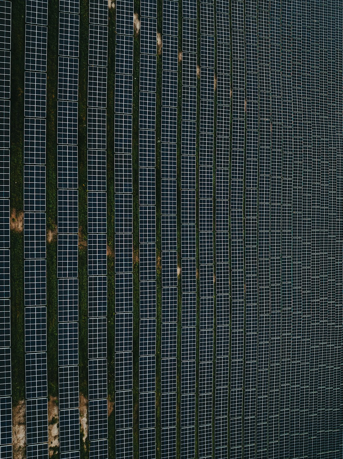 Close aerial view of rows of solar panels between strips of grass